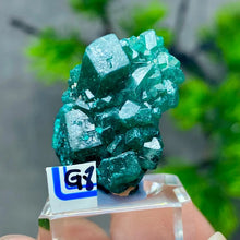 Rare Congo Dioptase Crystal Cluster Natural Green Mineral Specimen Raw Quartz Healing Stone Teaching Collection Home Decor G1-27