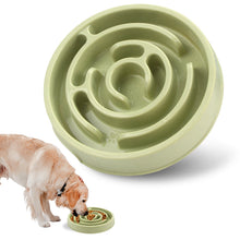 Non-Slip Slow Feeder Pet Bowl