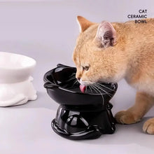 cat accessoriesElevated Slanted Anti Tip Cat Bowl Neck Protection Dual Purpose Pet Food Water Feeder Large Capacity Pet Supplies