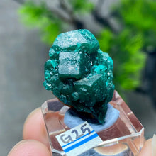 Rare Congo Dioptase Crystal Cluster Natural Green Mineral Specimen Raw Quartz Healing Stone Teaching Collection Home Decor G1-27