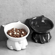cat accessoriesElevated Slanted Anti Tip Cat Bowl Neck Protection Dual Purpose Pet Food Water Feeder Large Capacity Pet Supplies