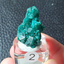 Rare Congo Dioptase Crystal Cluster Natural Green Mineral Specimen Raw Quartz Healing Stone Teaching Collection Home Decor G1-27