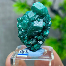 Rare Congo Dioptase Crystal Cluster Natural Green Mineral Specimen Raw Quartz Healing Stone Teaching Collection Home Decor G1-27