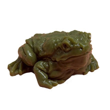 Decompression Frog Stress Ball for Adults, New, Unique Simulation, Release Pinch, Soft Rubber Toy, Sensory Squeeze Ball