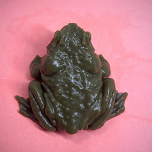 Decompression Frog Stress Ball for Adults, New, Unique Simulation, Release Pinch, Soft Rubber Toy, Sensory Squeeze Ball