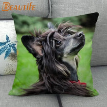 Custom Chinese Crested Dog Pillowcase 45X45cm Wedding Decorative Eco-Friendly Cotton Linen Fabric Pillow Case