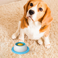 1Pc Pet Feeding Accessories Dog Treat Toy Puzzle Toys For Bored Puppy Slow Feeder Puppy Supplies For Healthy Eating Food Crate