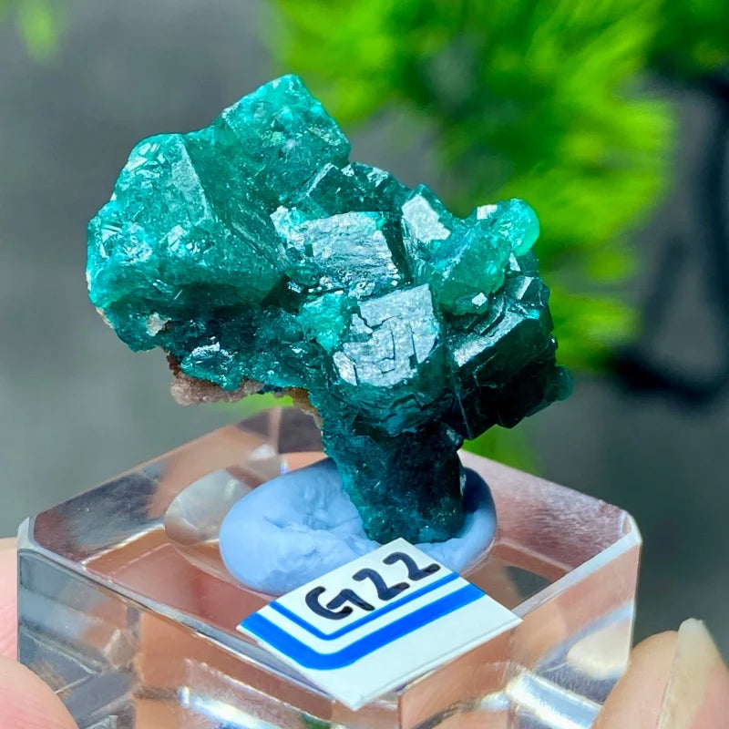 Rare Congo Dioptase Crystal Cluster Natural Green Mineral Specimen Raw Quartz Healing Stone Teaching Collection Home Decor G1-27