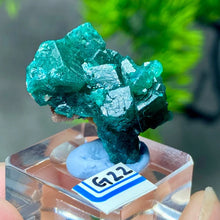 Rare Congo Dioptase Crystal Cluster Natural Green Mineral Specimen Raw Quartz Healing Stone Teaching Collection Home Decor G1-27