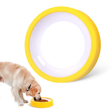 Non-Slip Slow Feeder Pet Bowl