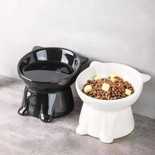 cat accessoriesElevated Slanted Anti Tip Cat Bowl Neck Protection Dual Purpose Pet Food Water Feeder Large Capacity Pet Supplies