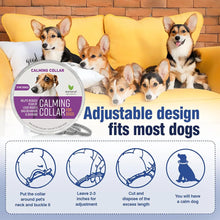 38/70cm Dog Calming Collar Pet Cat Anxiety Reducing Pheromone Collar for Dogs Releases Pheromones for 60Days Helps Calm for Dogs