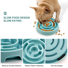 Non-Slip Slow Feeder Pet Bowl