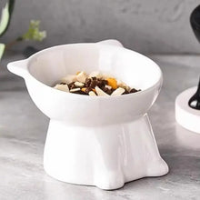 cat accessoriesElevated Slanted Anti Tip Cat Bowl Neck Protection Dual Purpose Pet Food Water Feeder Large Capacity Pet Supplies