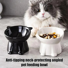 cat accessoriesElevated Slanted Anti Tip Cat Bowl Neck Protection Dual Purpose Pet Food Water Feeder Large Capacity Pet Supplies