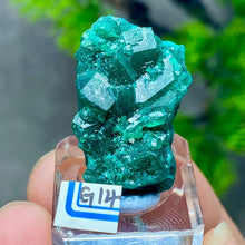 Rare Congo Dioptase Crystal Cluster Natural Green Mineral Specimen Raw Quartz Healing Stone Teaching Collection Home Decor G1-27