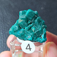 Rare Congo Dioptase Crystal Cluster Natural Green Mineral Specimen Raw Quartz Healing Stone Teaching Collection Home Decor G1-27
