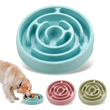 Non-Slip Slow Feeder Pet Bowl